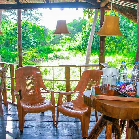 Experience The Comforts Of An Amazing Treehouse Sigirija Zewnętrze zdjęcie