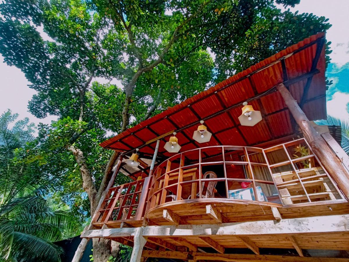 Experience The Comforts Of An Amazing Treehouse Sigirija Zewnętrze zdjęcie