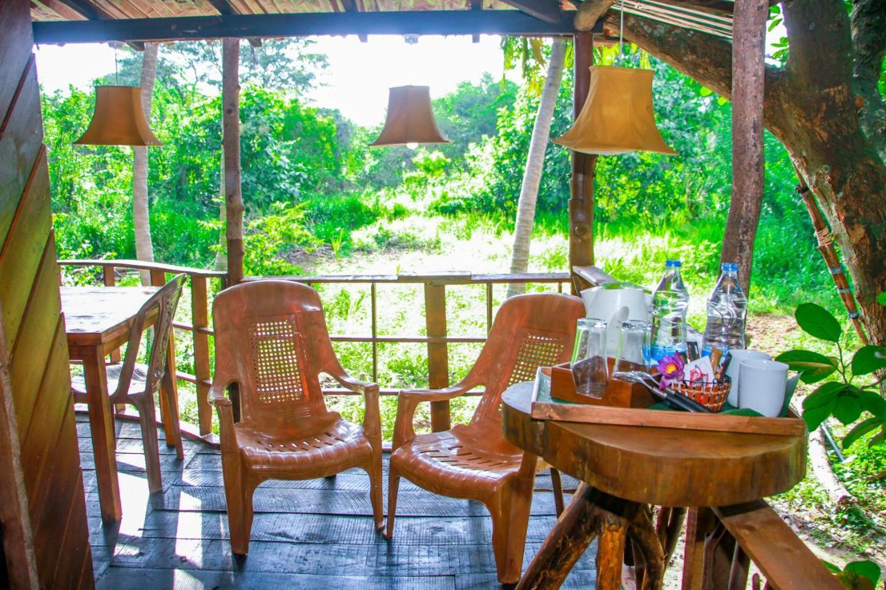 Experience The Comforts Of An Amazing Treehouse Sigirija Zewnętrze zdjęcie