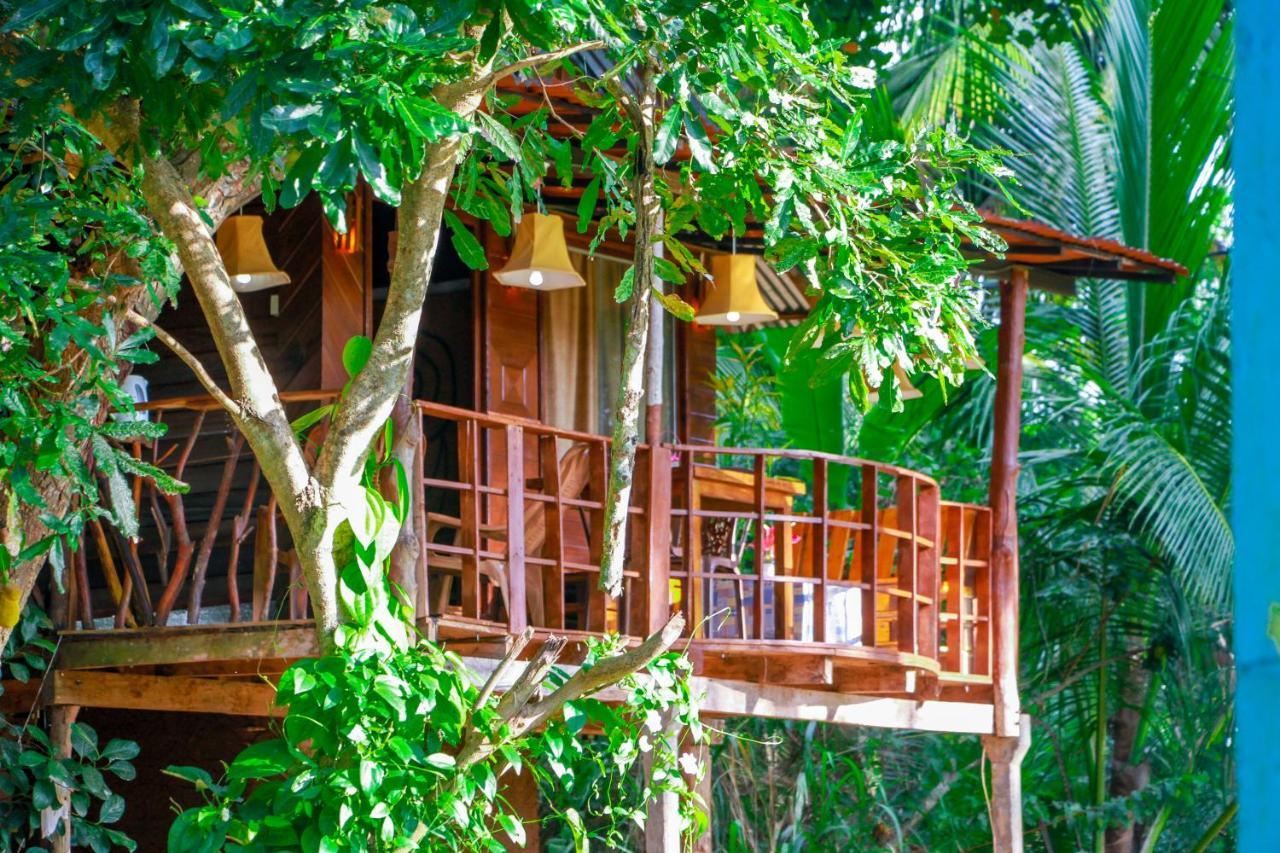 Experience The Comforts Of An Amazing Treehouse Sigirija Zewnętrze zdjęcie