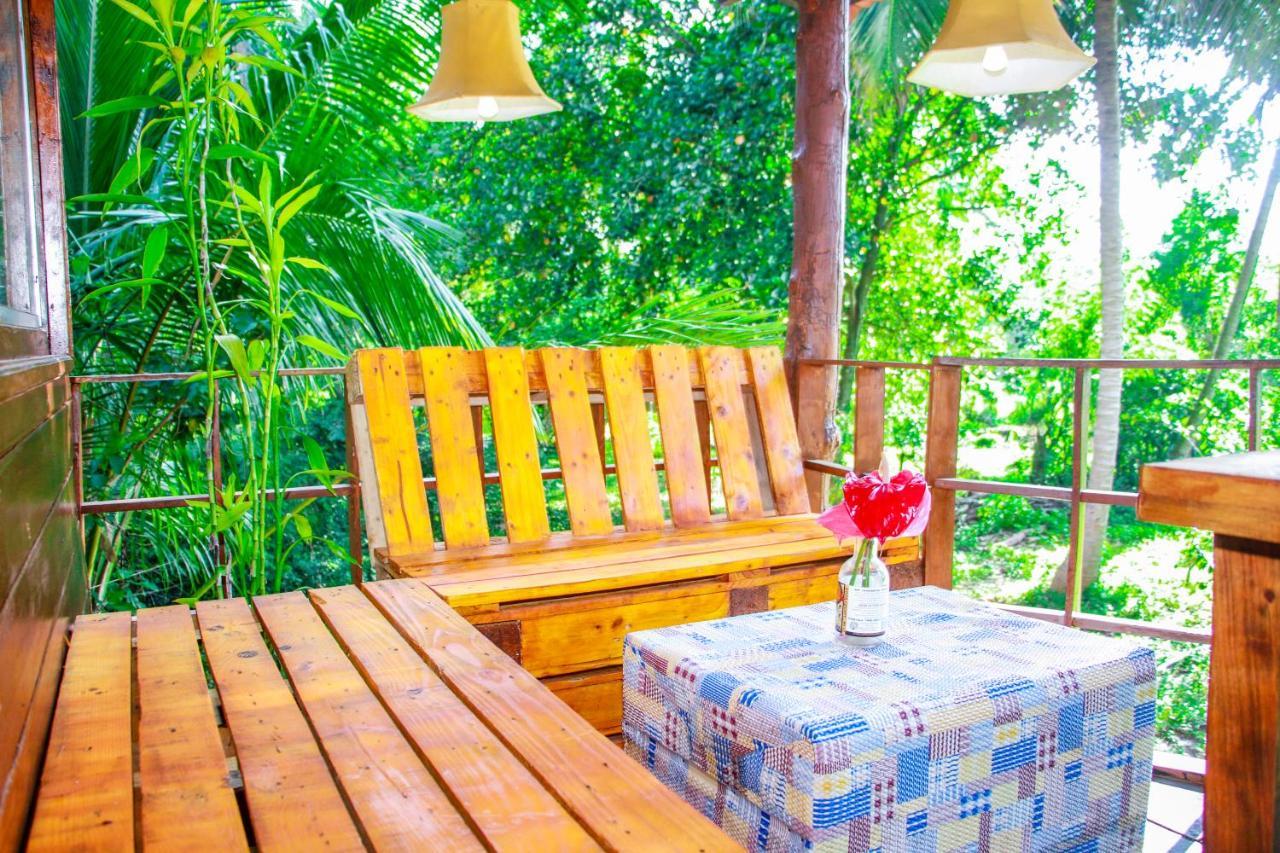 Experience The Comforts Of An Amazing Treehouse Sigirija Zewnętrze zdjęcie