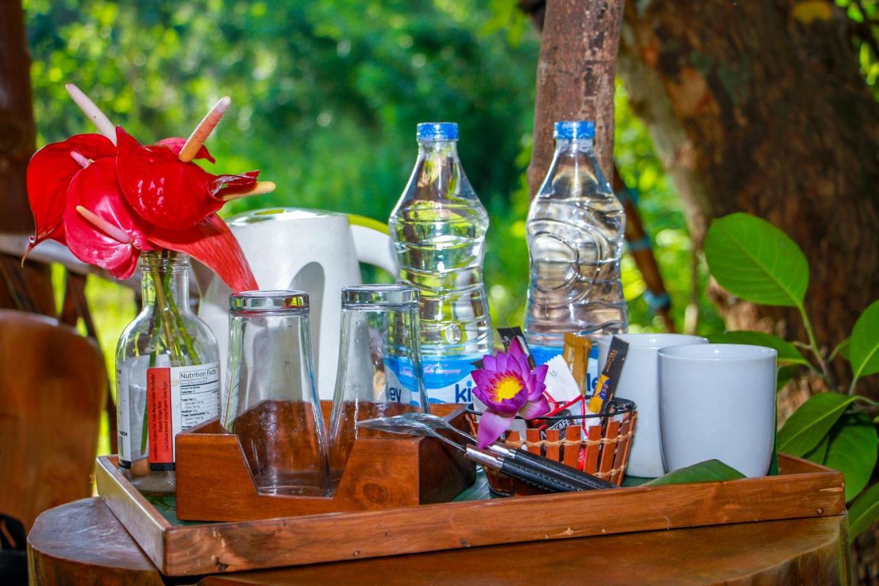 Experience The Comforts Of An Amazing Treehouse Sigirija Zewnętrze zdjęcie