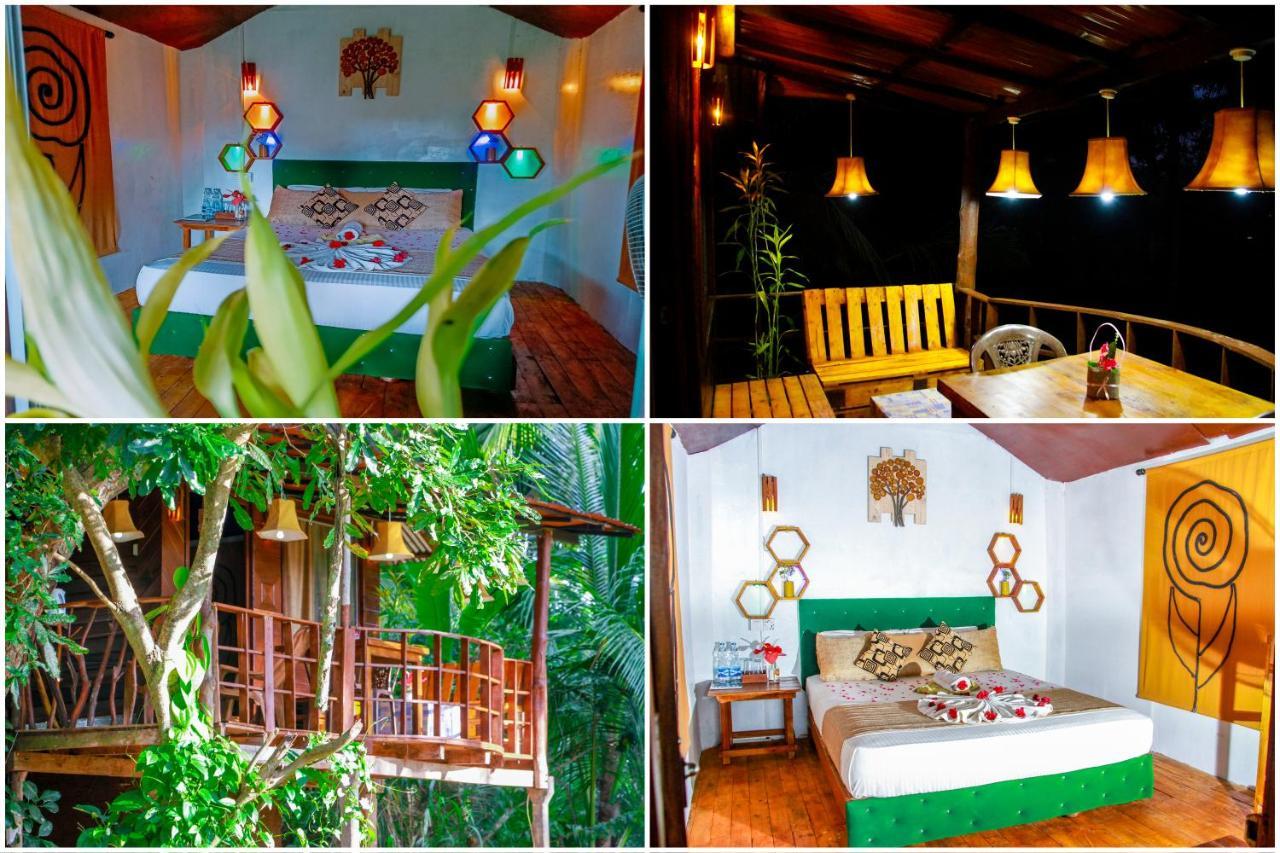 Experience The Comforts Of An Amazing Treehouse Sigirija Zewnętrze zdjęcie