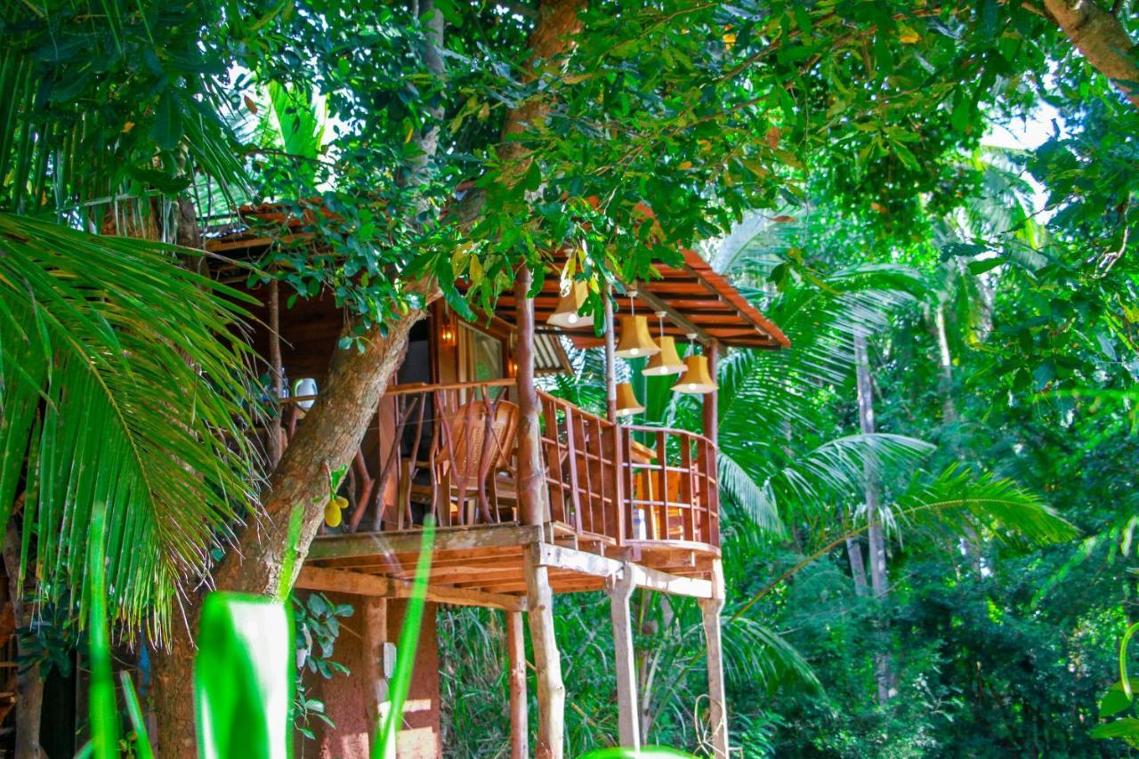 Experience The Comforts Of An Amazing Treehouse Sigirija Zewnętrze zdjęcie
